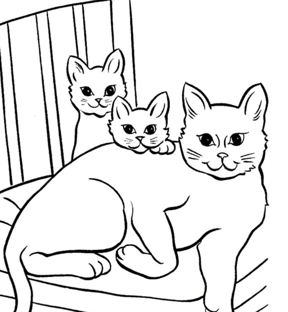 Раскраски новогодние котята
