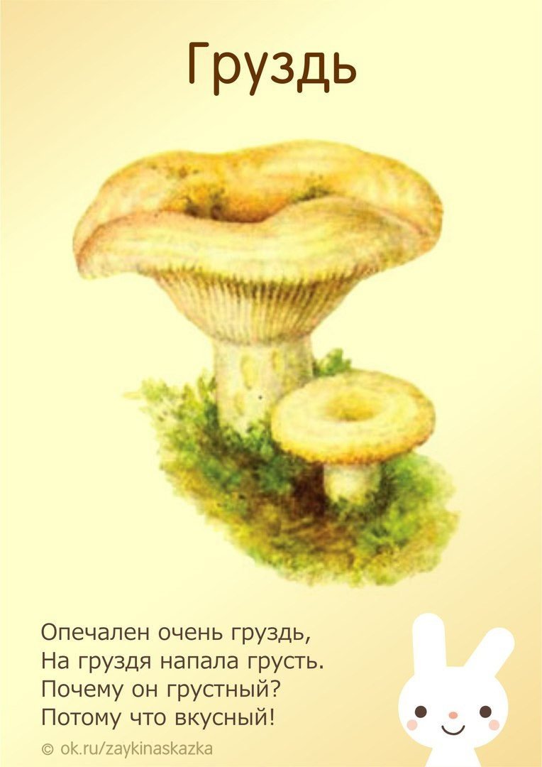 Стихи про грибы
