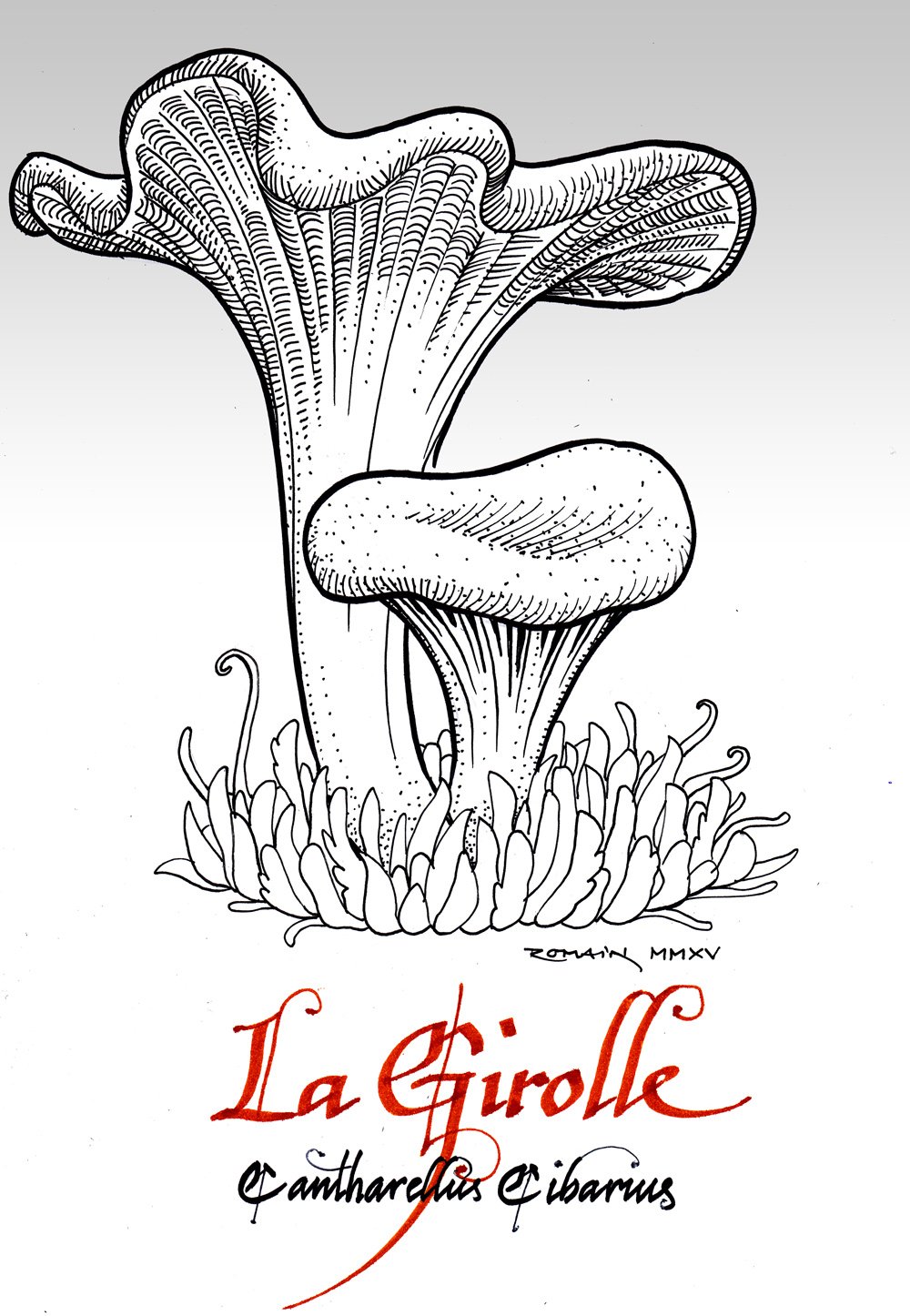 Лисичка гриб рисованый