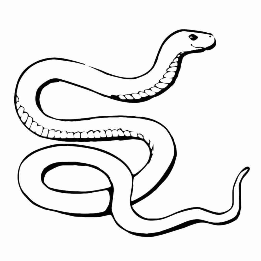 Раскраски для детей с годом змеи