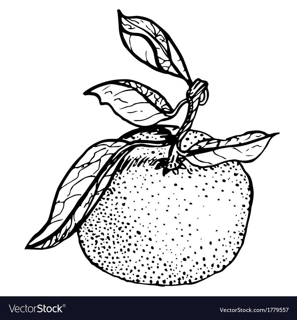 Плодовые деревья раскраска для детей