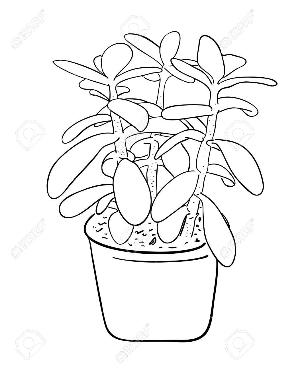 Раскраска плодовые деревья