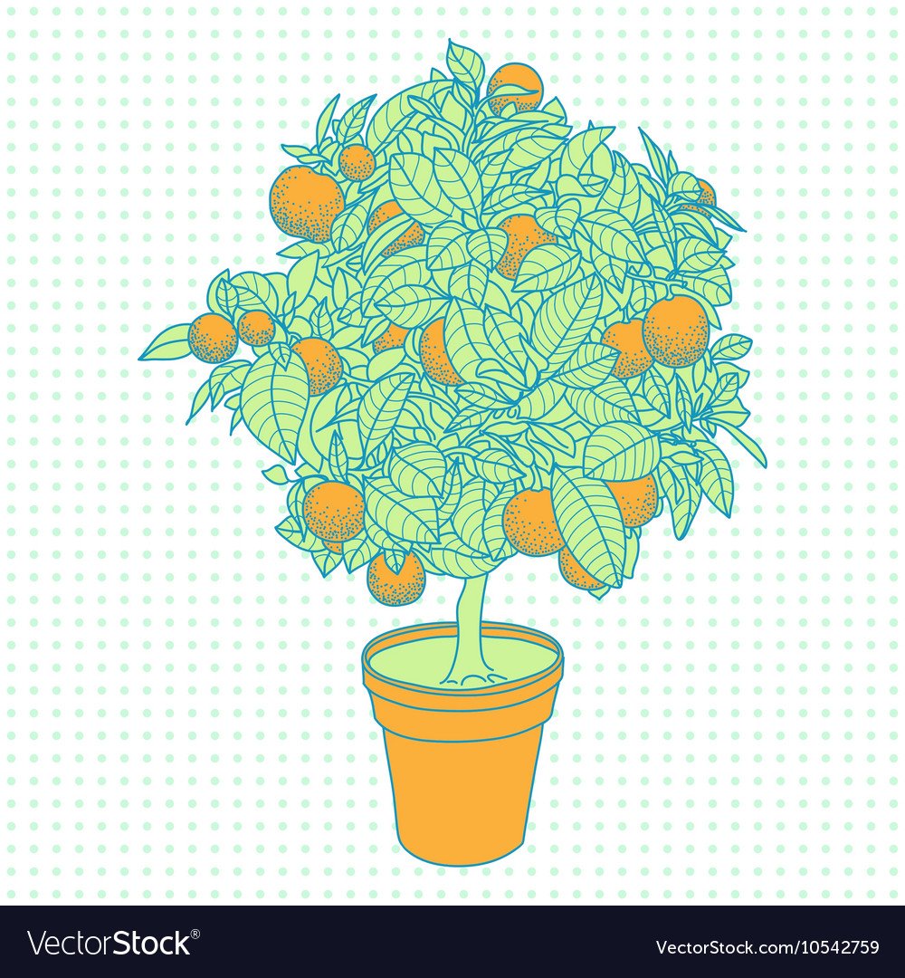 Ветви апельсинового дерева вектор