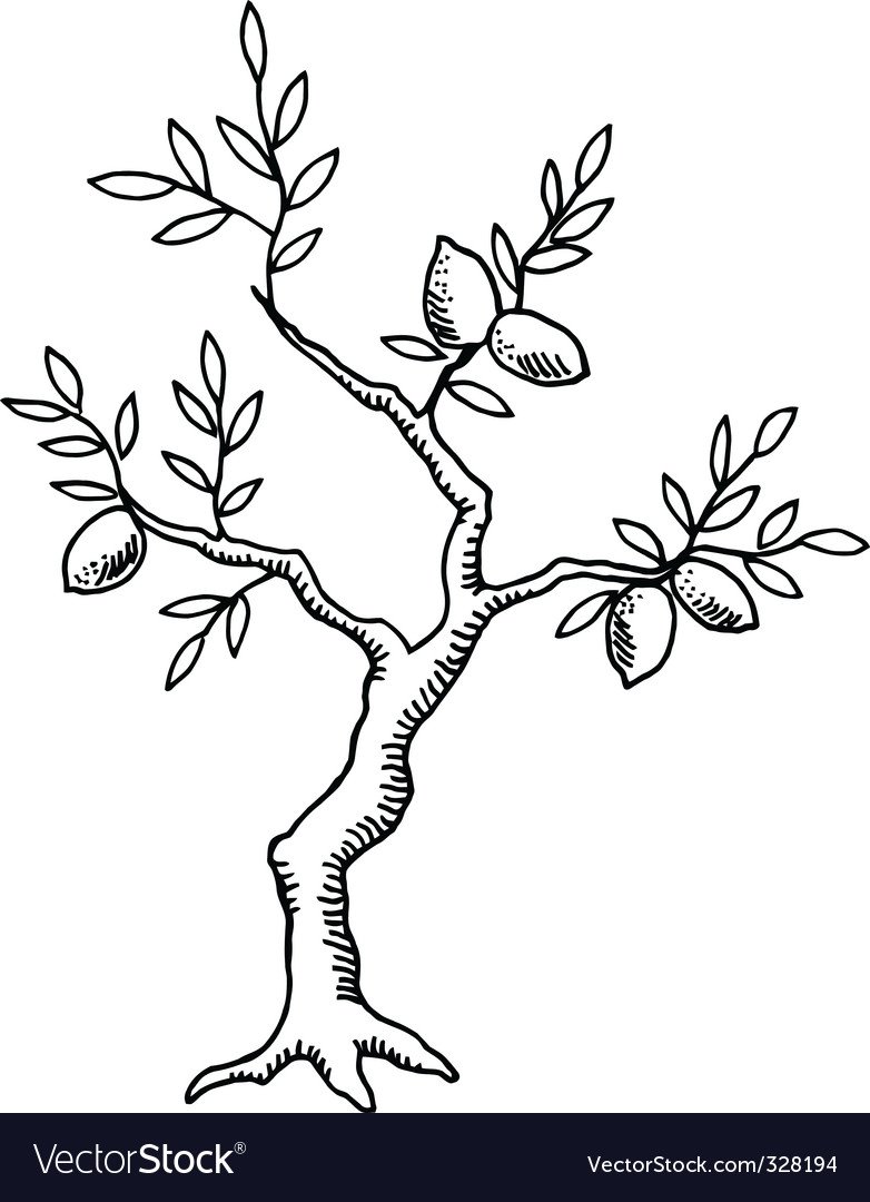 Раскраска дерево с цветами