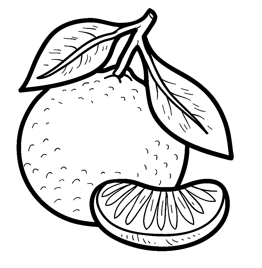 Строение лимонного дерева