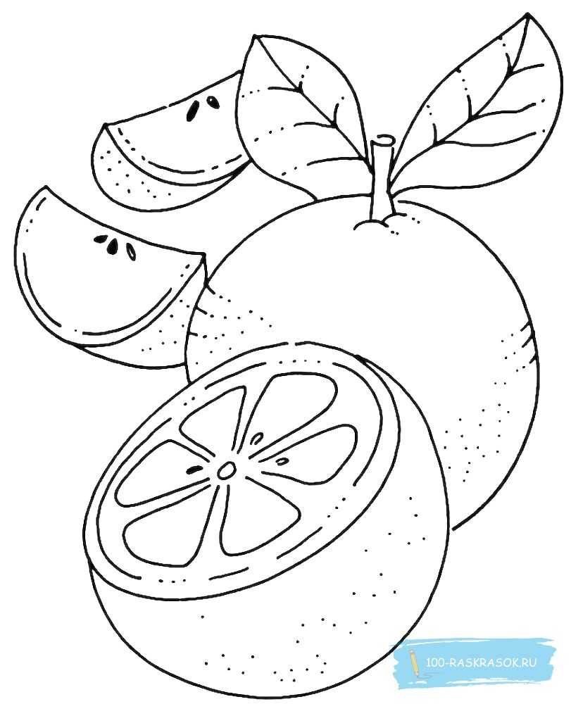 Апельсиновое дерево вектор