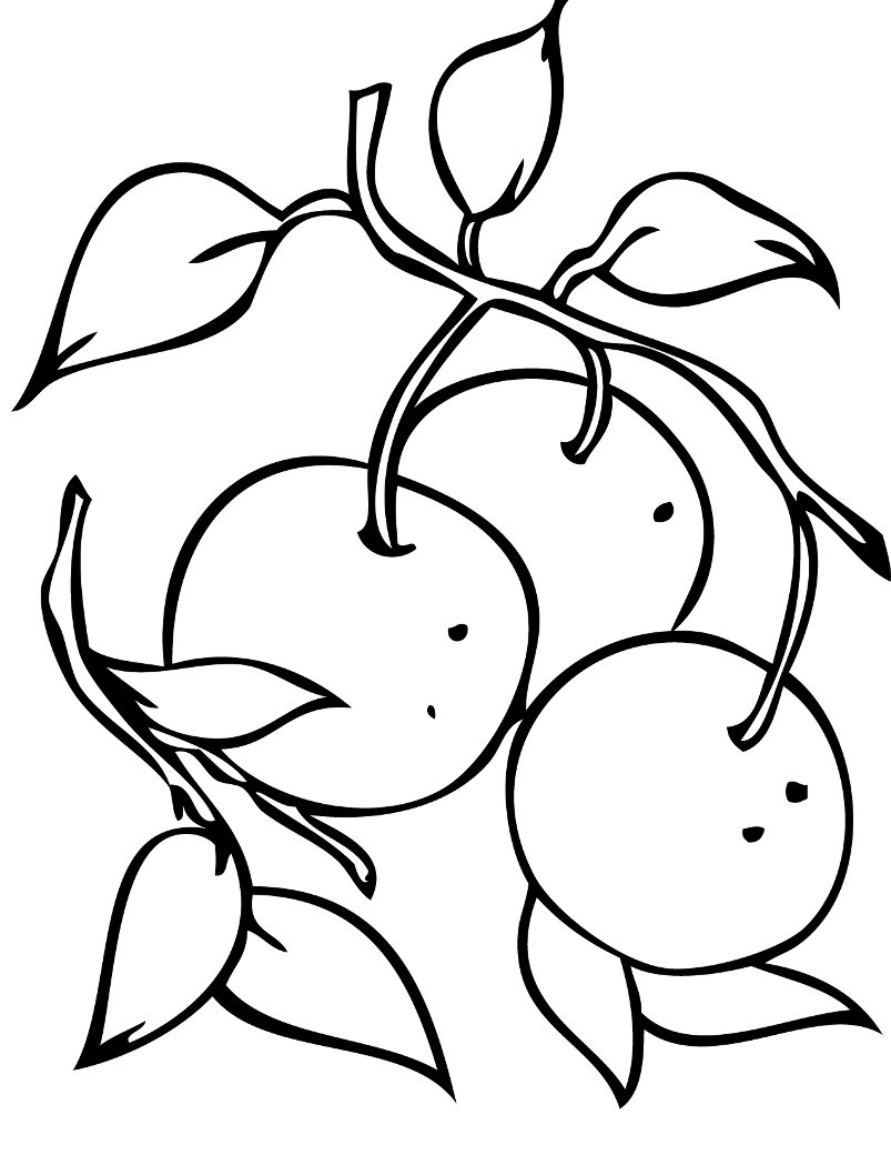 Мандарин раскраска