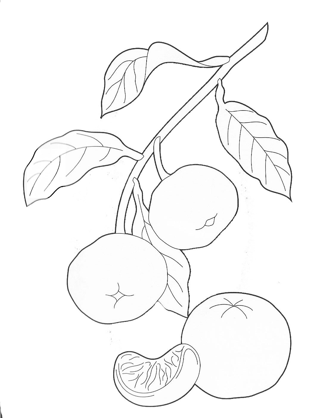 Дерево с лимонами раскраска