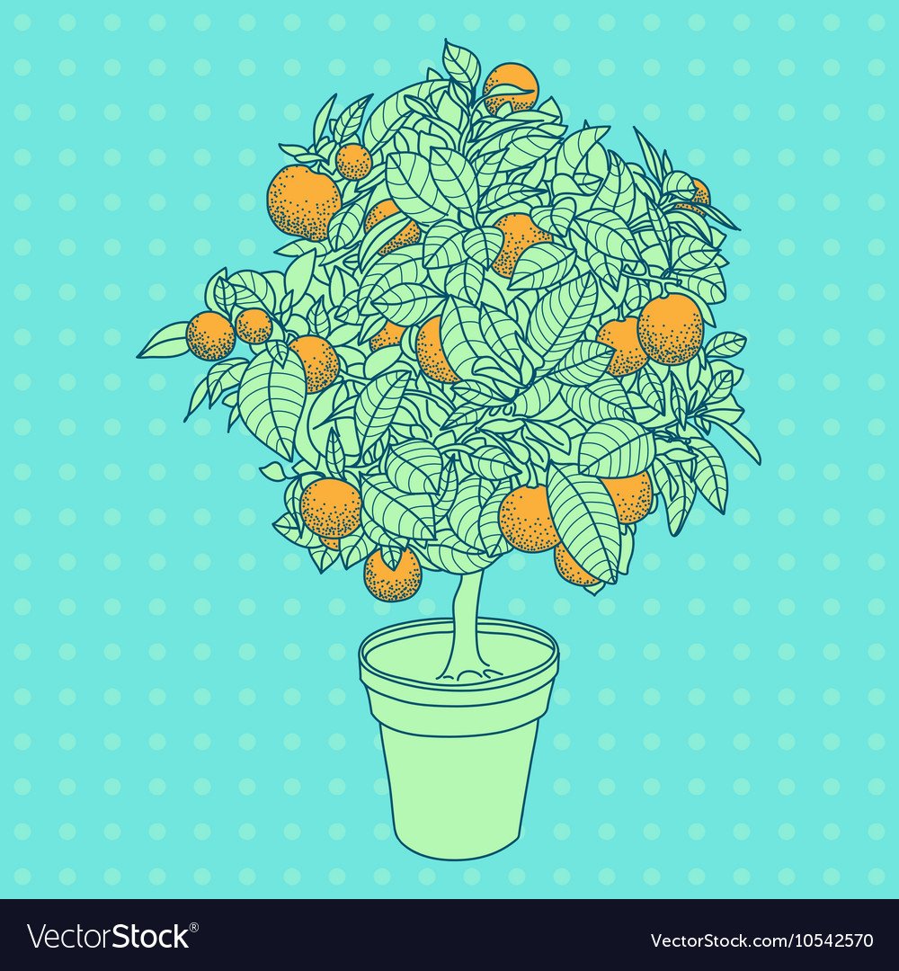 Яблоко раскраска