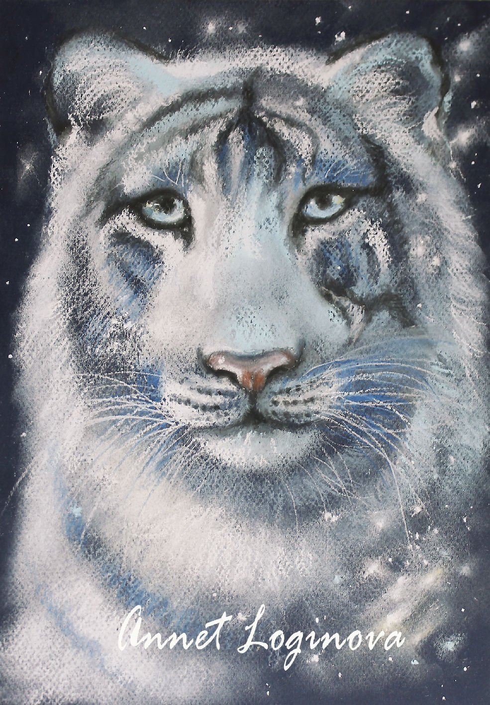 Ненов Владимир художник иллюстрации