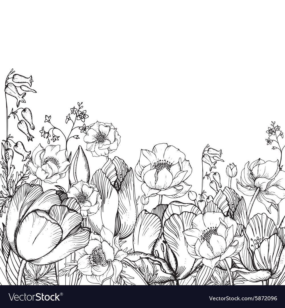 Луговые травы Графика