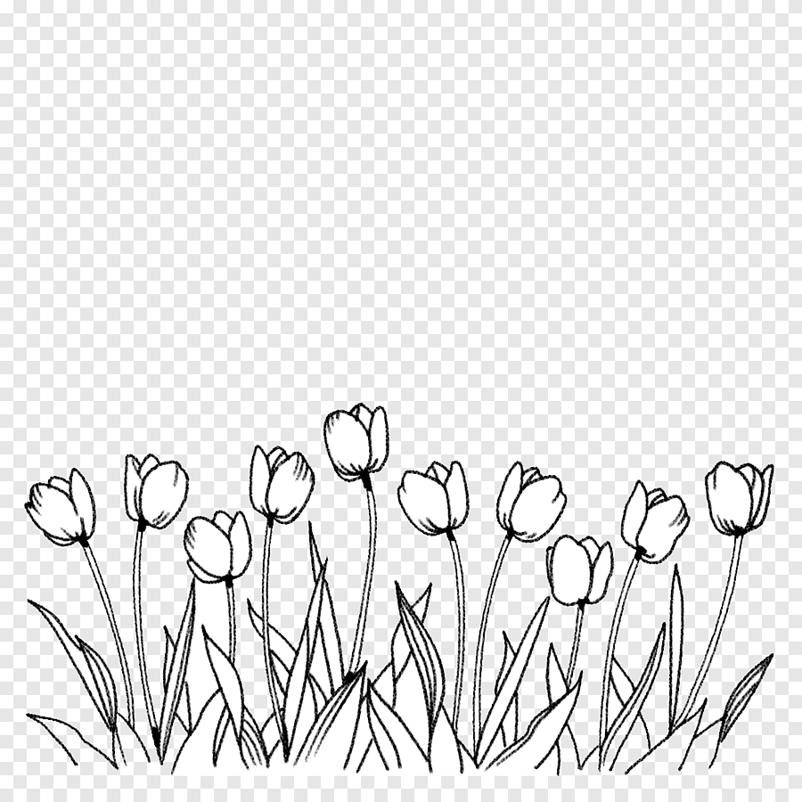 Девушка в поле раскраска антистресс