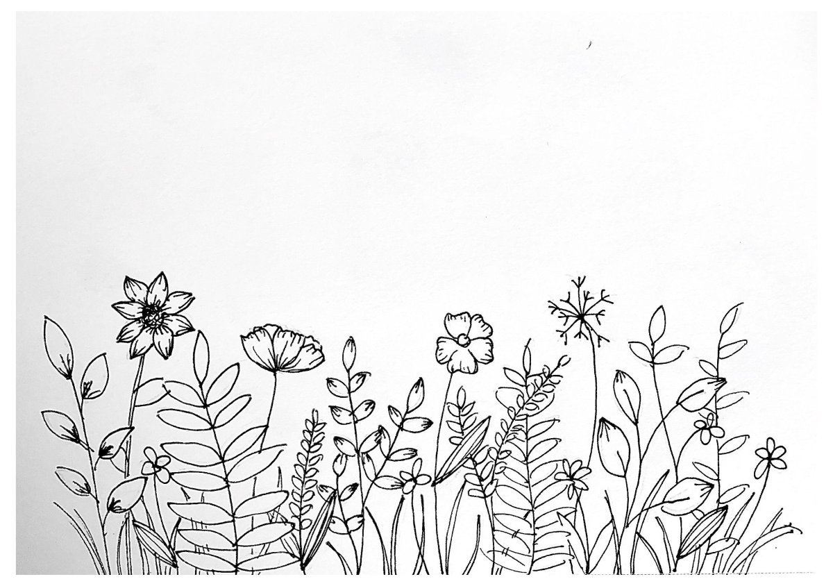 Подсолнух. Раскраска