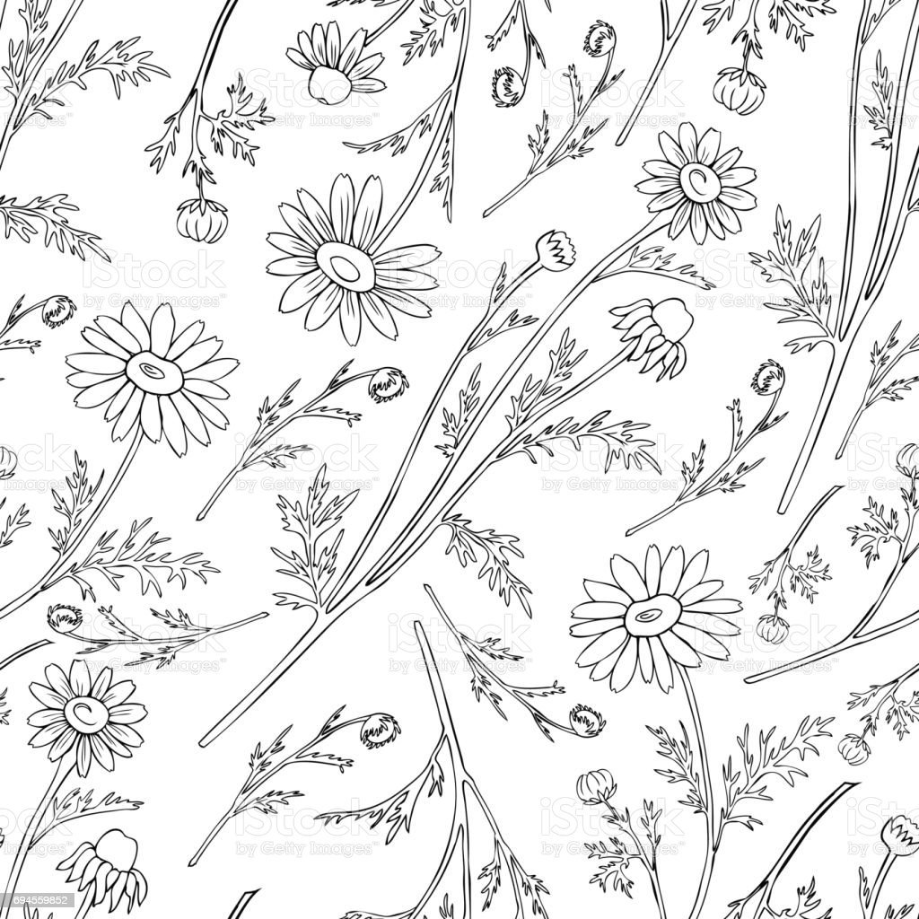 Цветочная Поляна раскраска