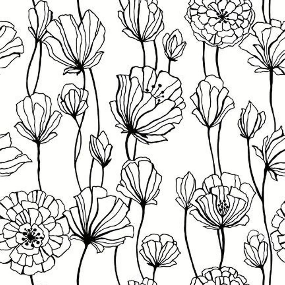 Полевые цветы Графика черно белая