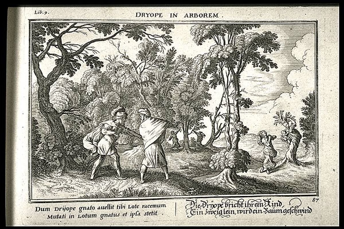 Овидий пирам и Фисба