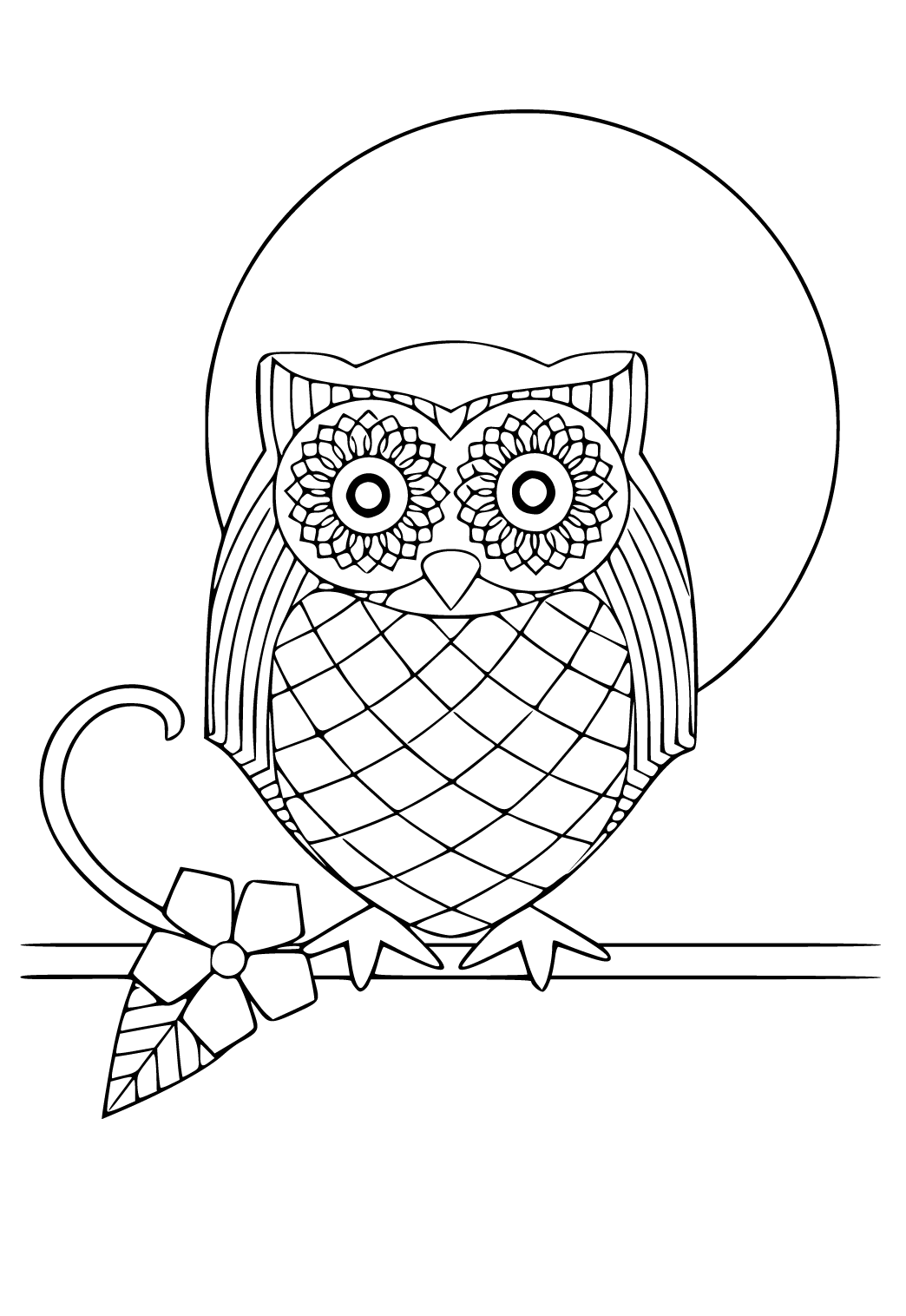 Филин в полете раскраска