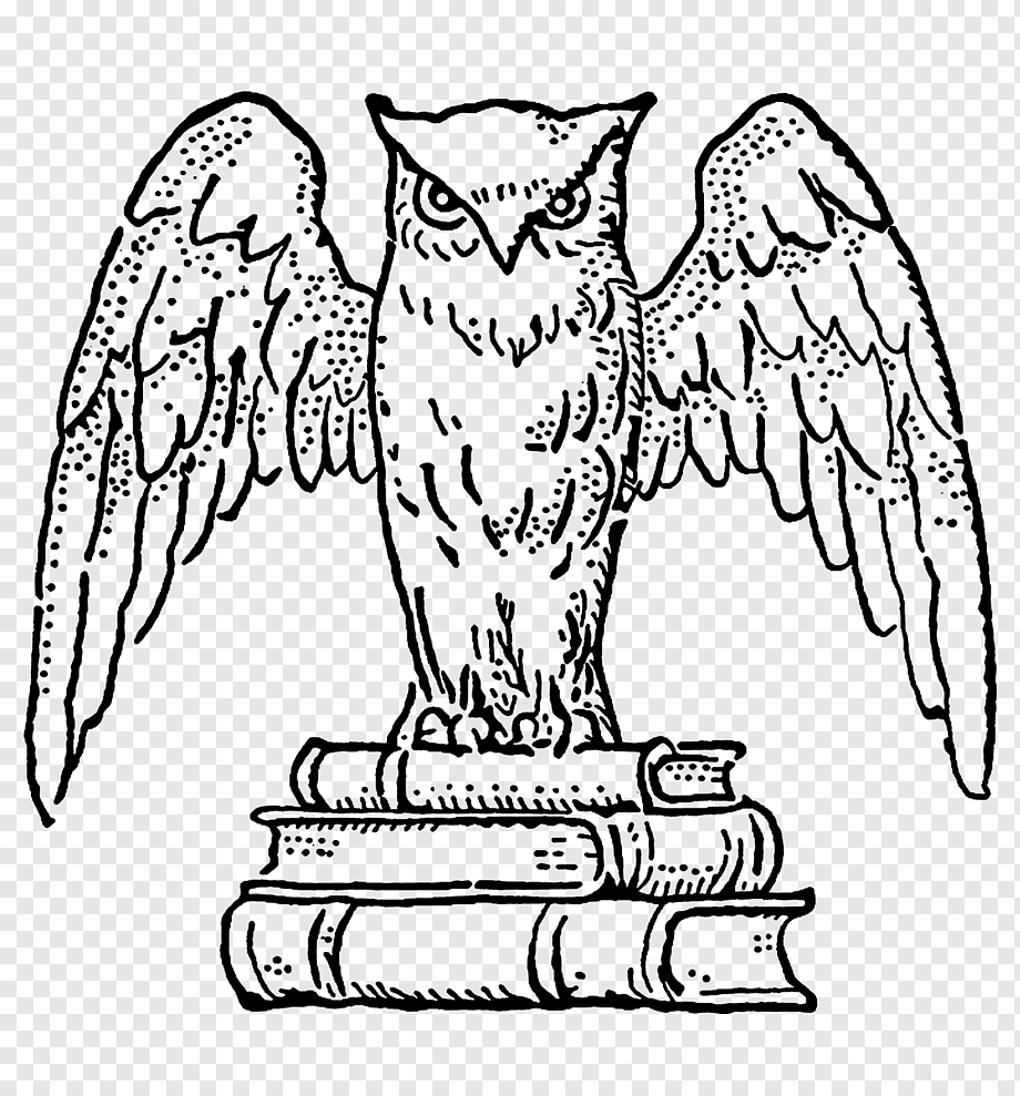 Сова Букля из Гарри Поттера