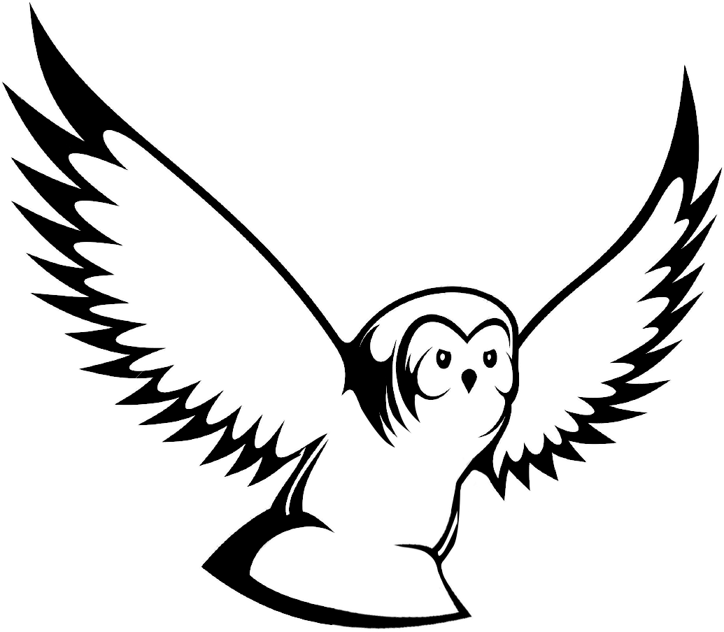 Силуэт Совы с крыльями