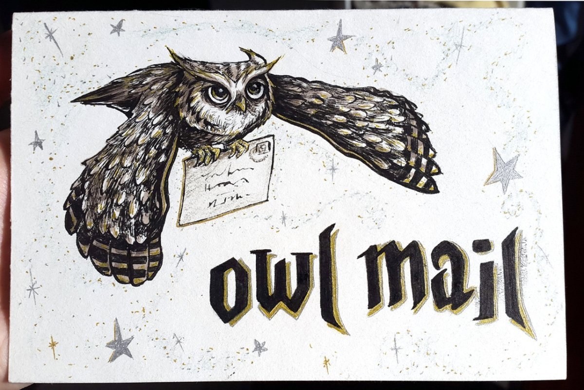 Гарри поттер с совой раскраска