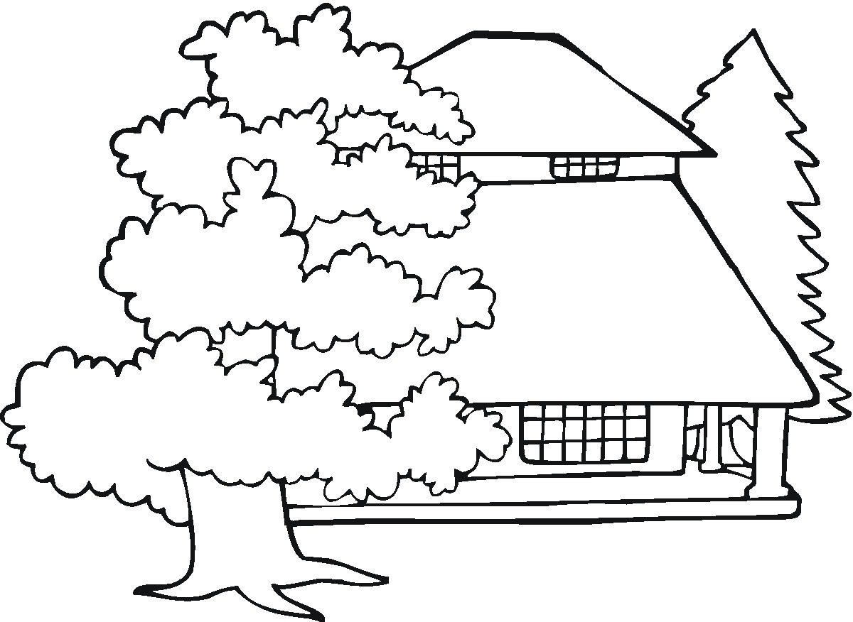 Раскраска с домиком и деревом