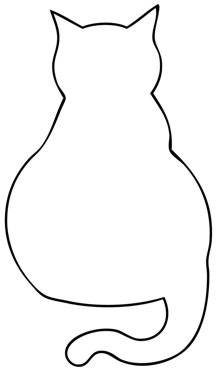 Контур кота сзади