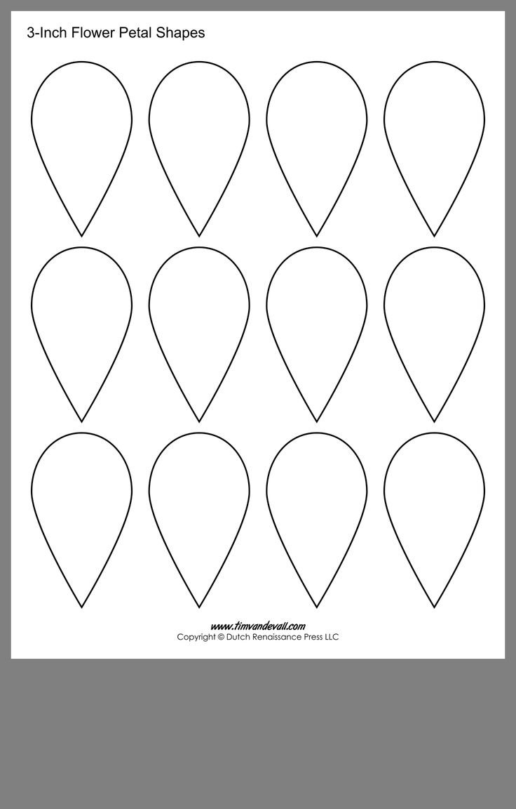 Тюльпан бутон контур