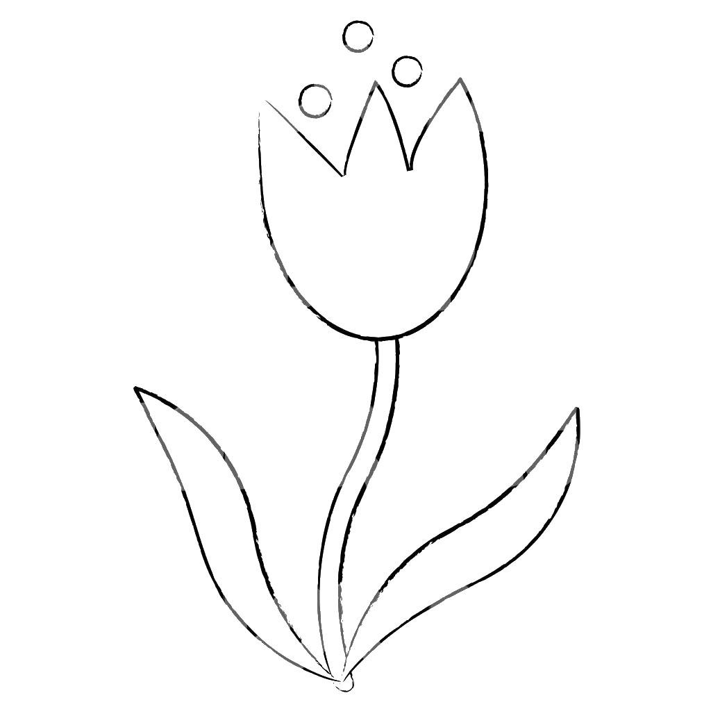Шаблон тюльпана для аппликации