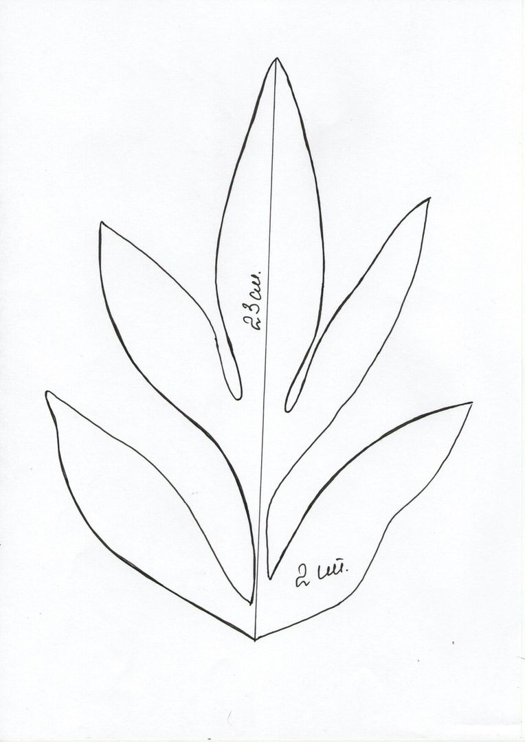 Лепесток трафарет