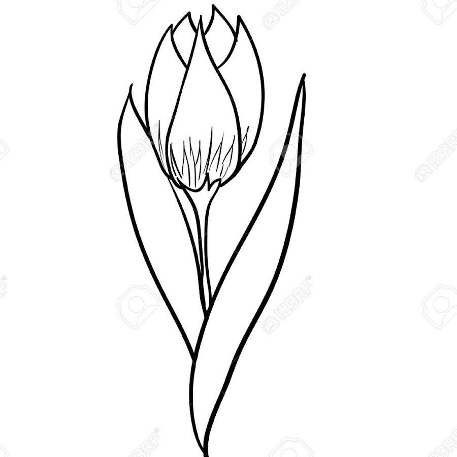 Рисунки для аппликации из ткани