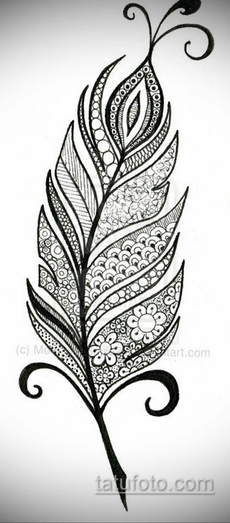 Орнамент перья