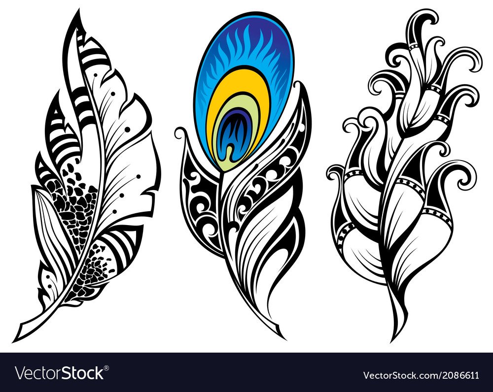 Перо Жар птицы контур