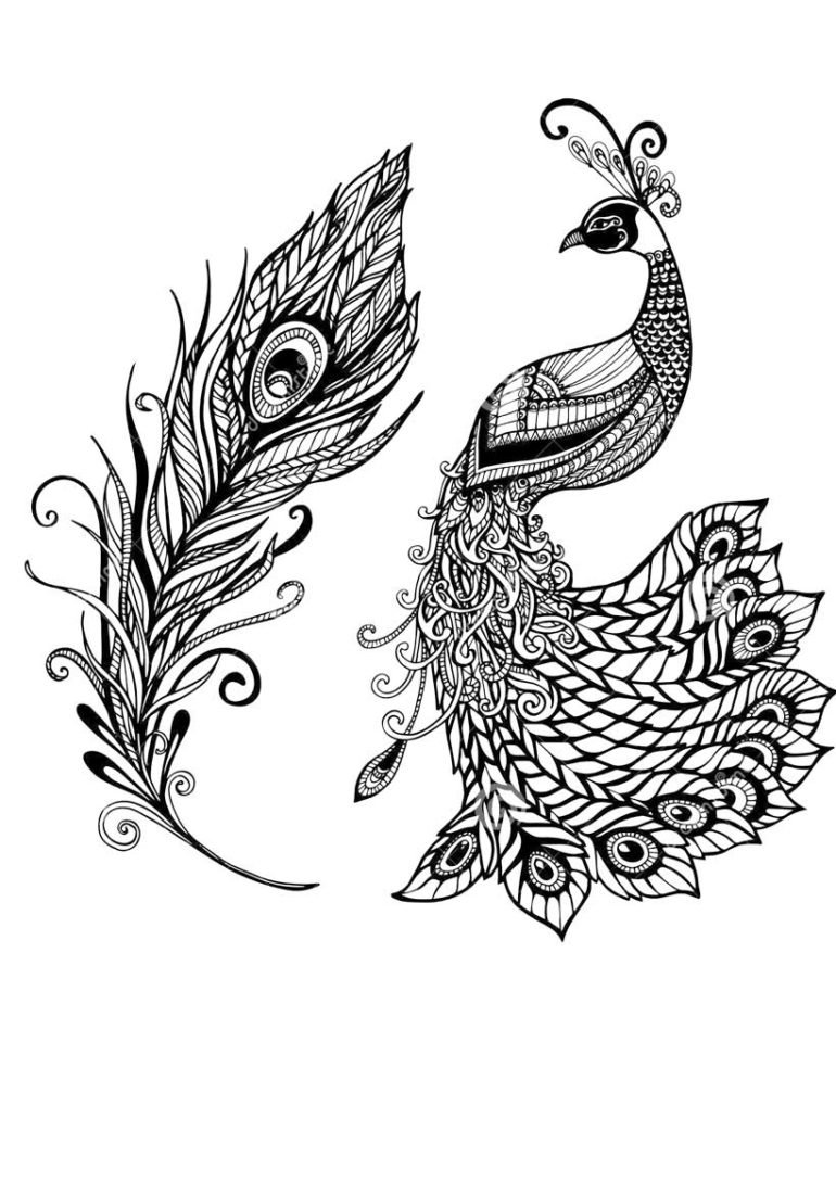 Жар птица черно белая Графика