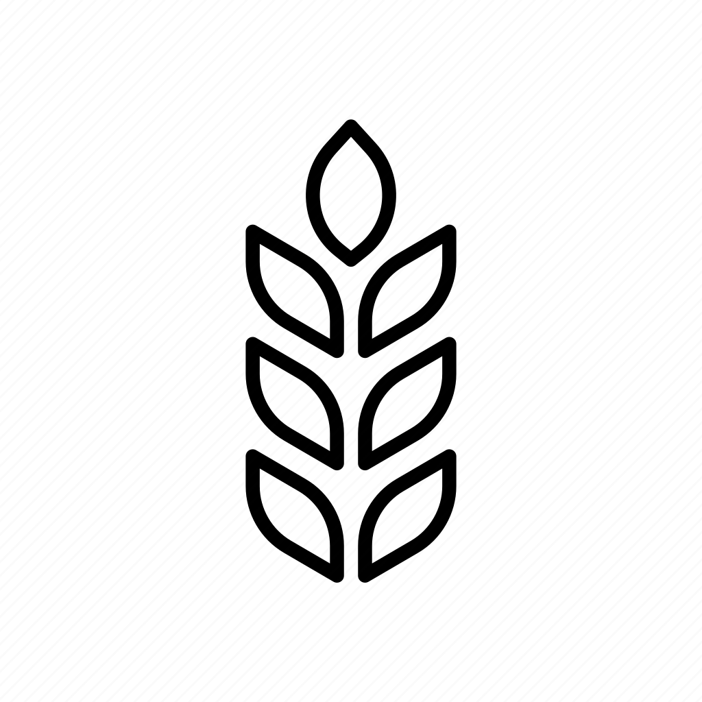 Колосок пшеницы раскраска