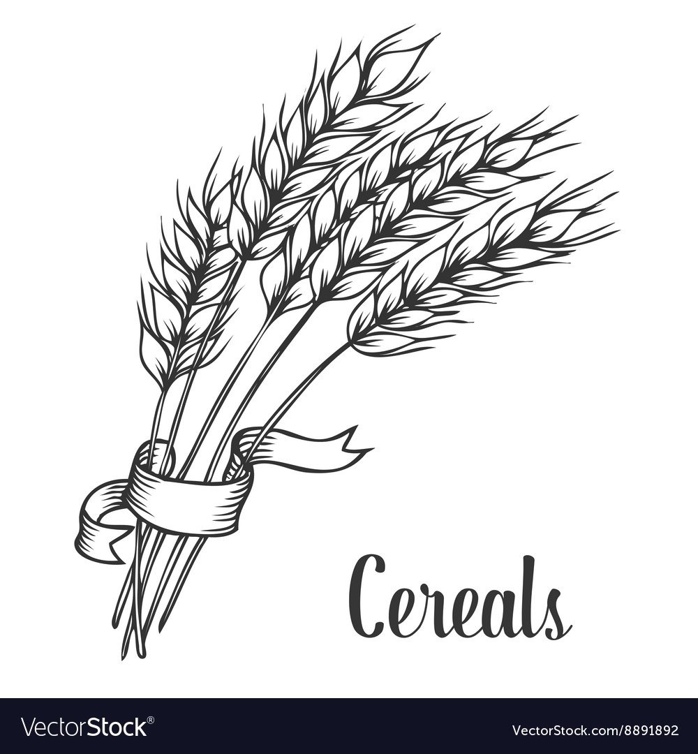 Стилизованные колоски