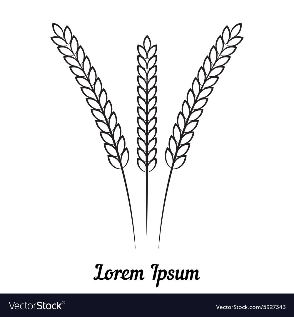 Колосок рисунок