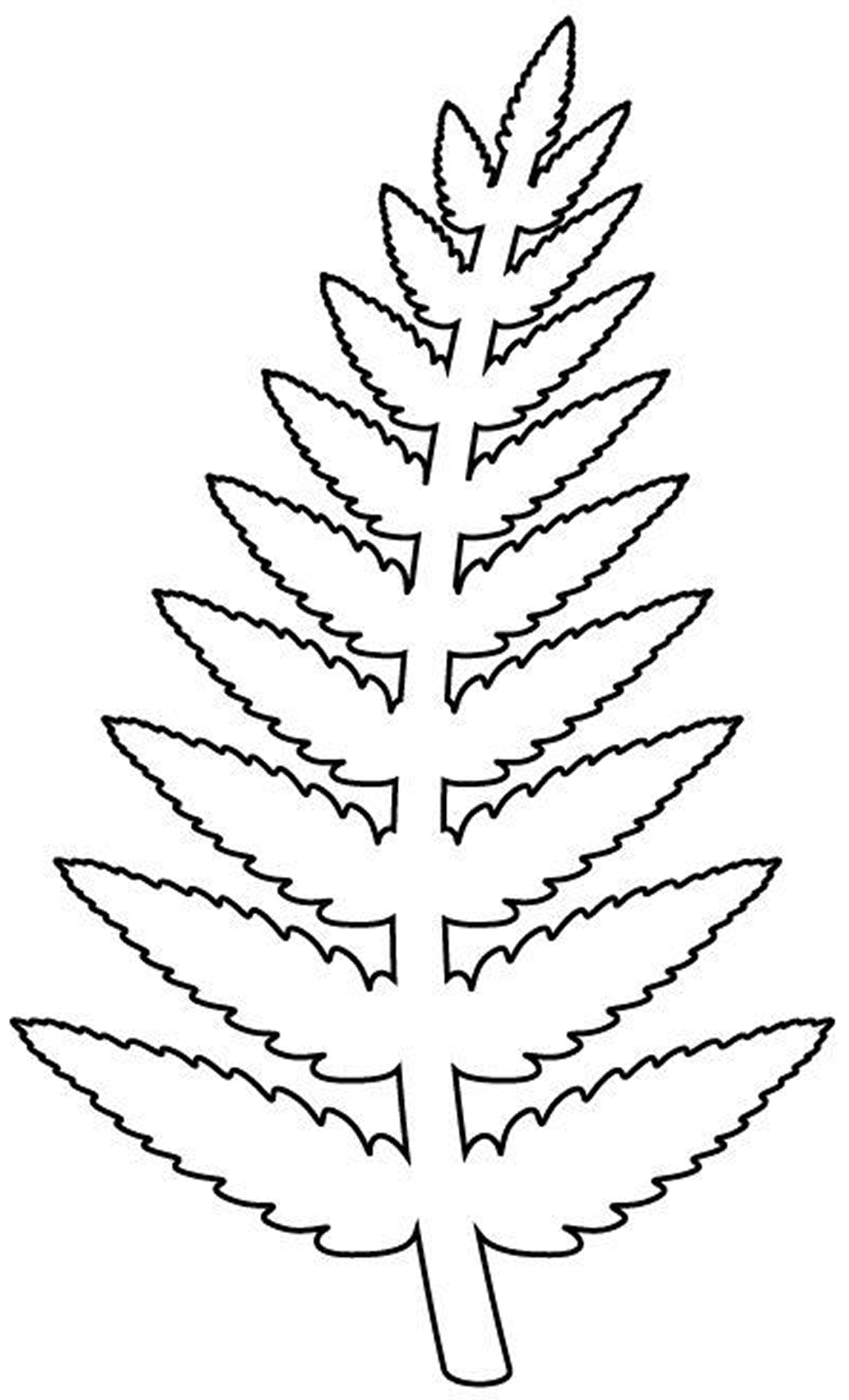 Папоротник раскраска