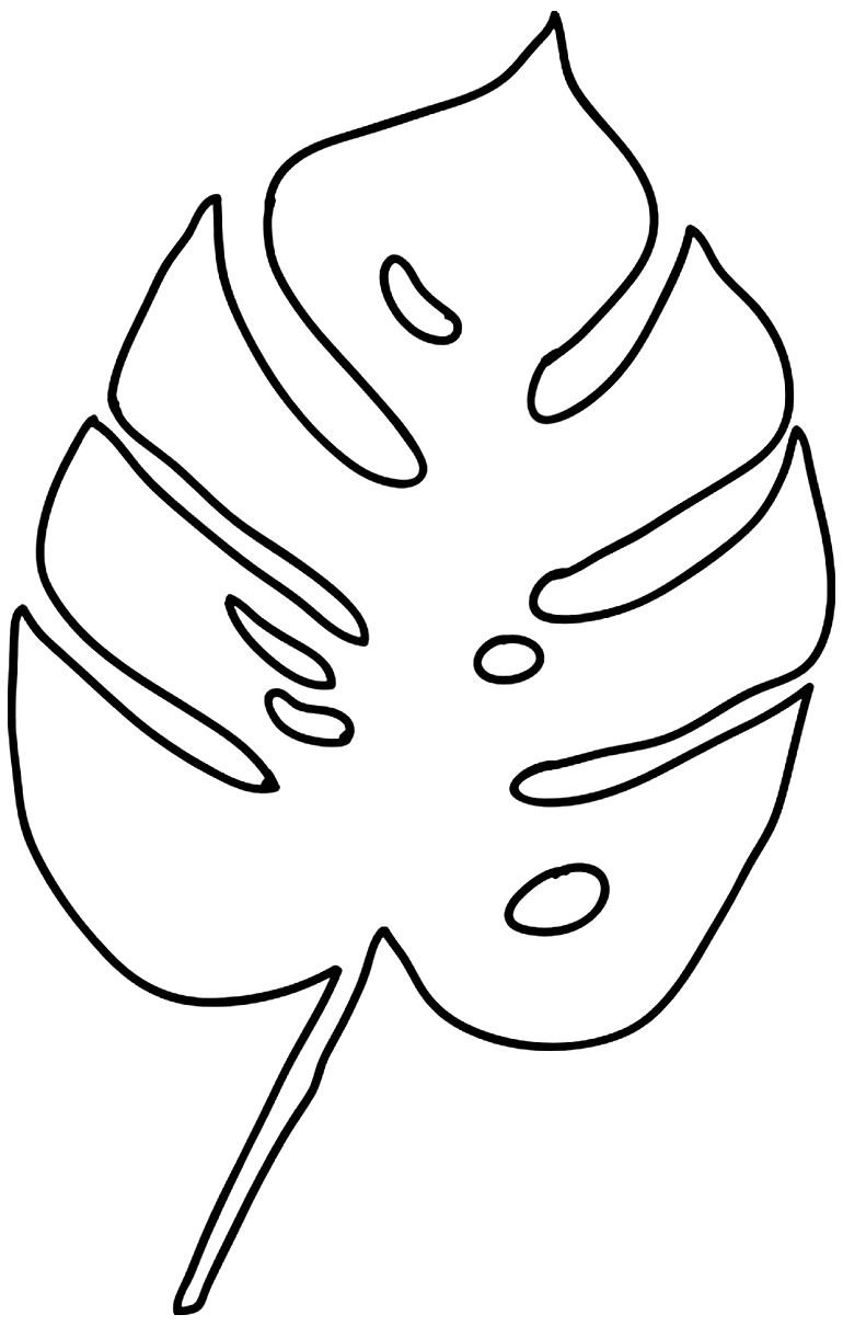 Лист монстеры контур