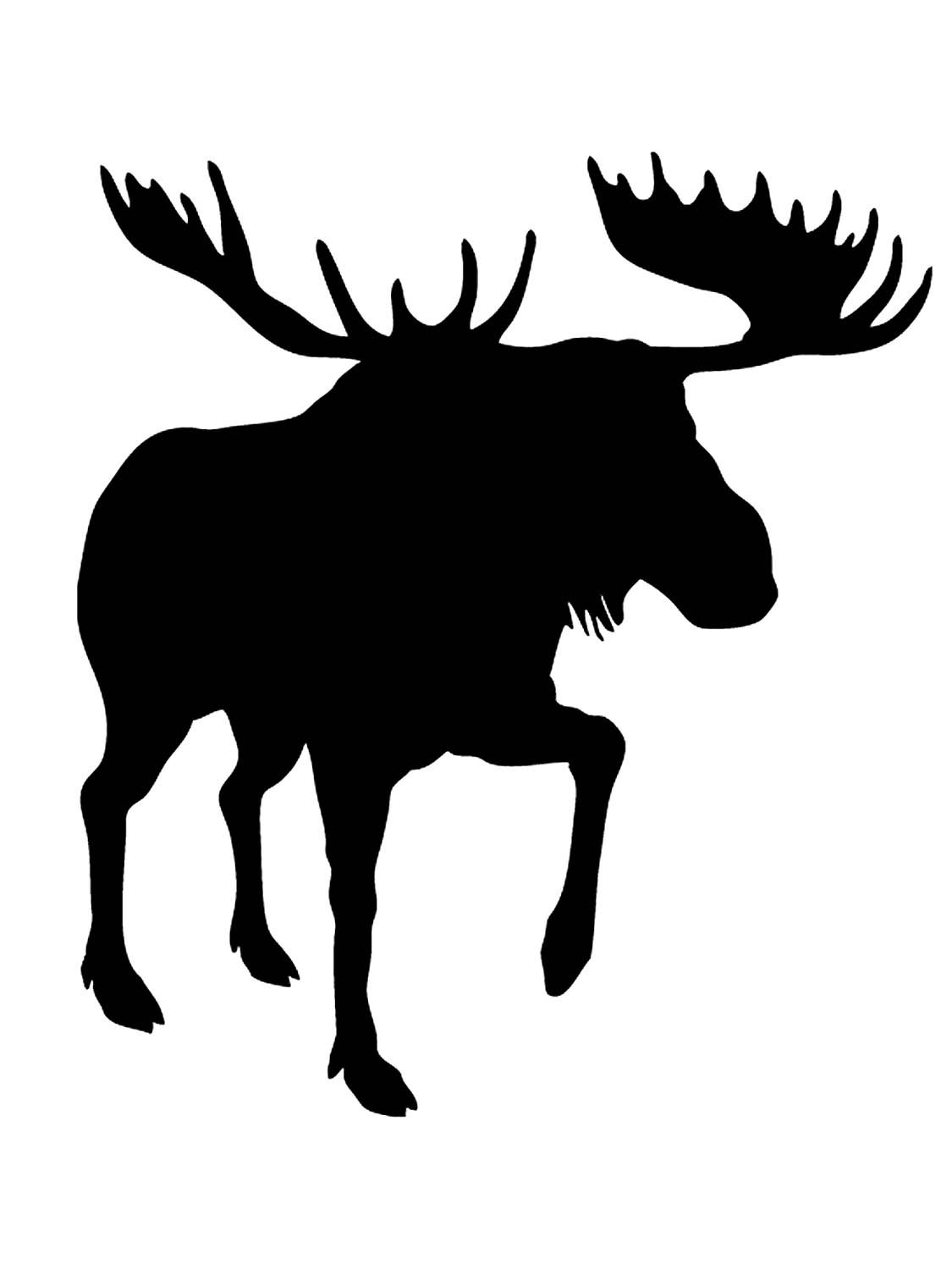 Трафареты диких животных