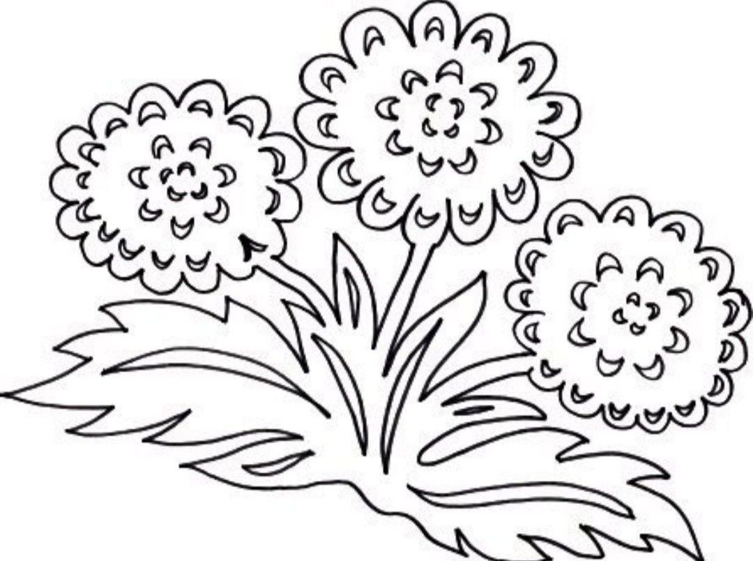 Трафареты цветов