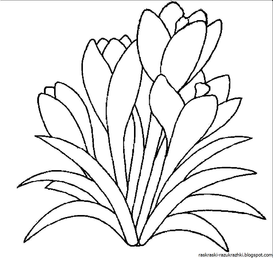 Трафареты на окна 8 марта для вырезания