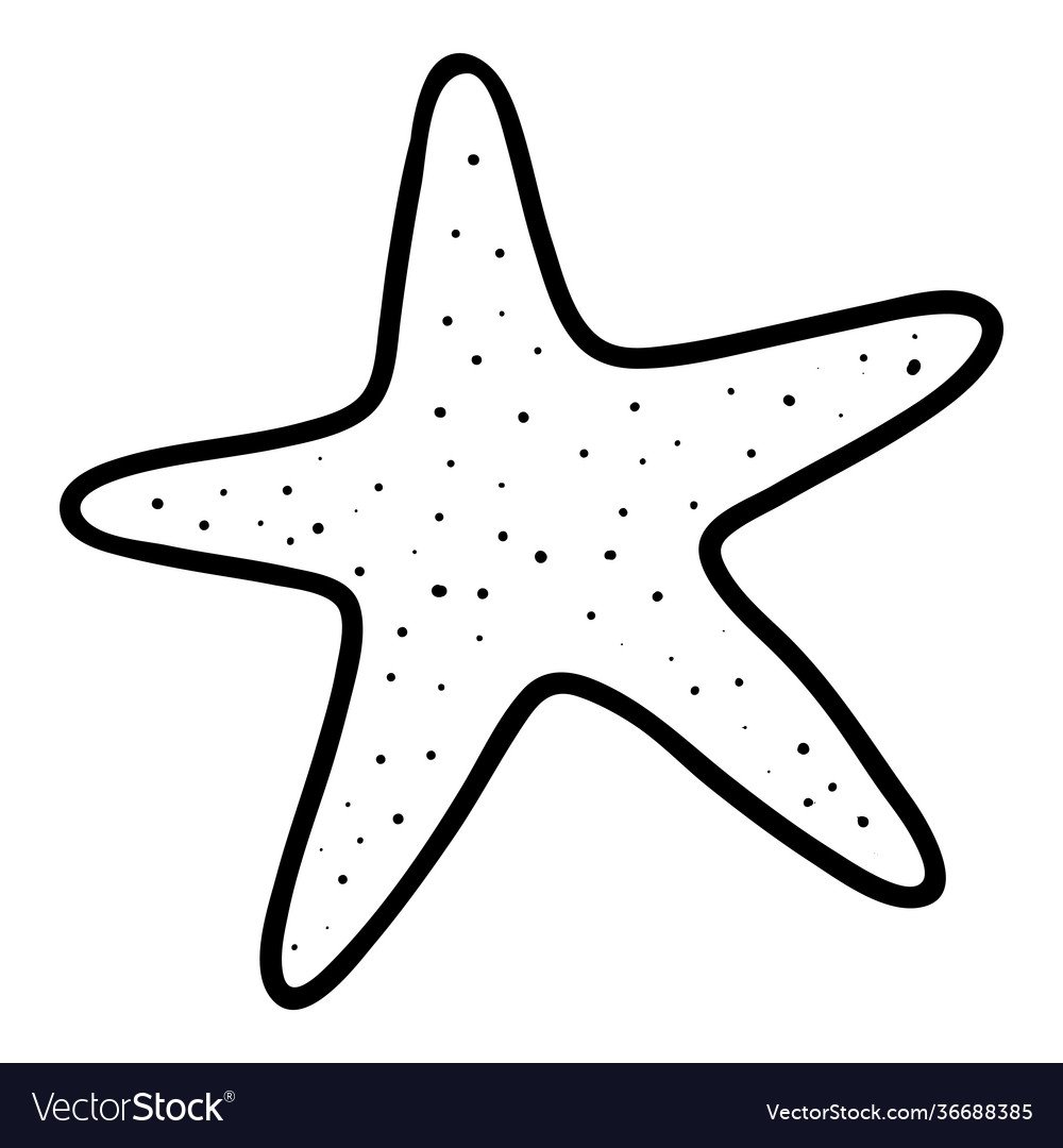 Морская звезда силуэт