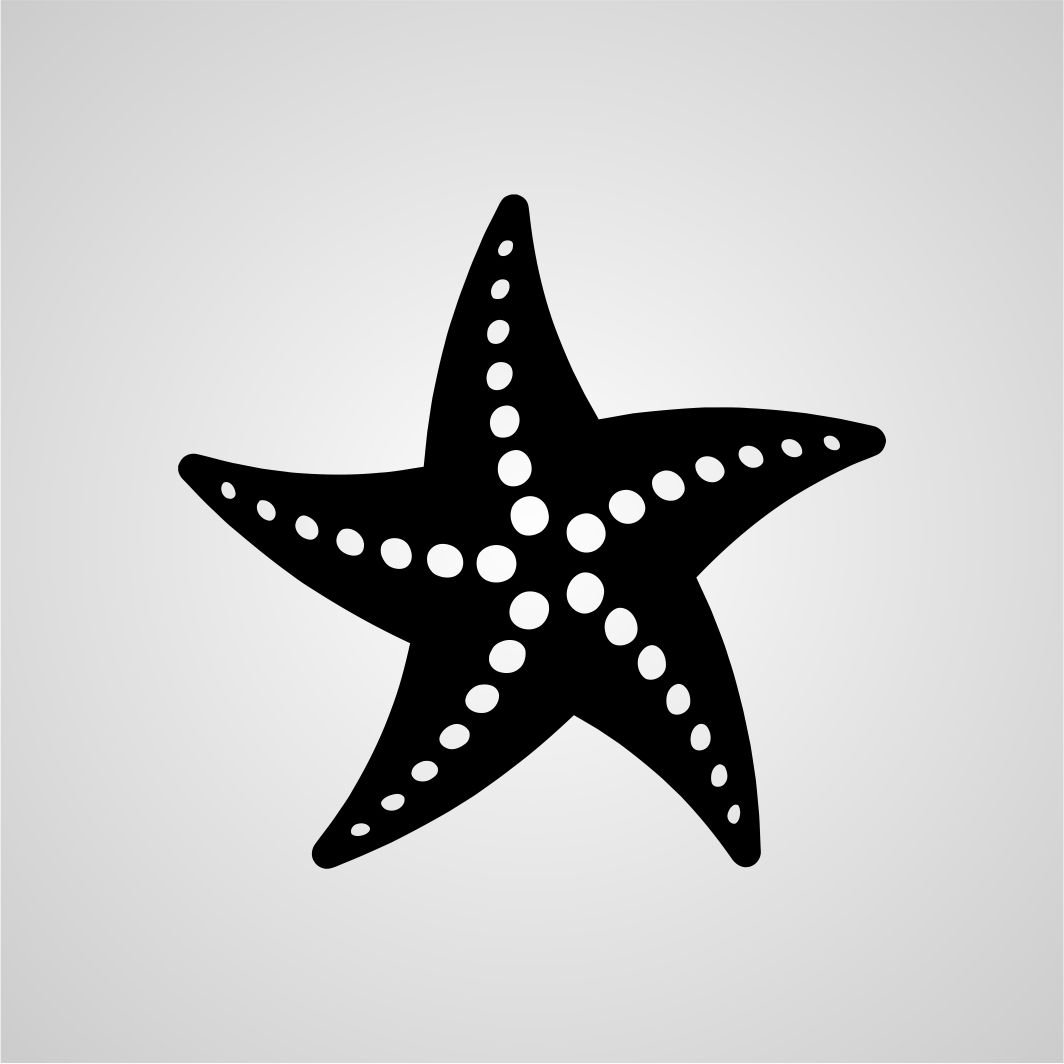 Морская звезда черно белая