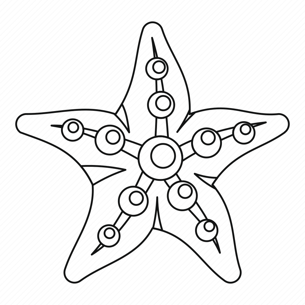 Морская Звёздочка карандашом