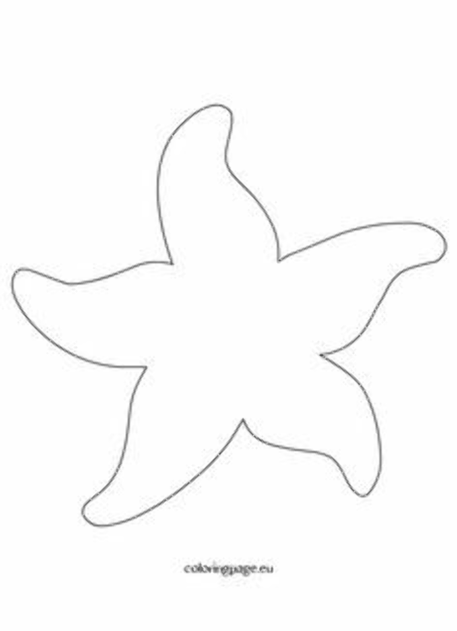 Морская звезда силуэт