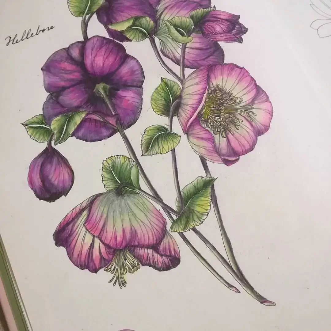 Графическое изображение растений