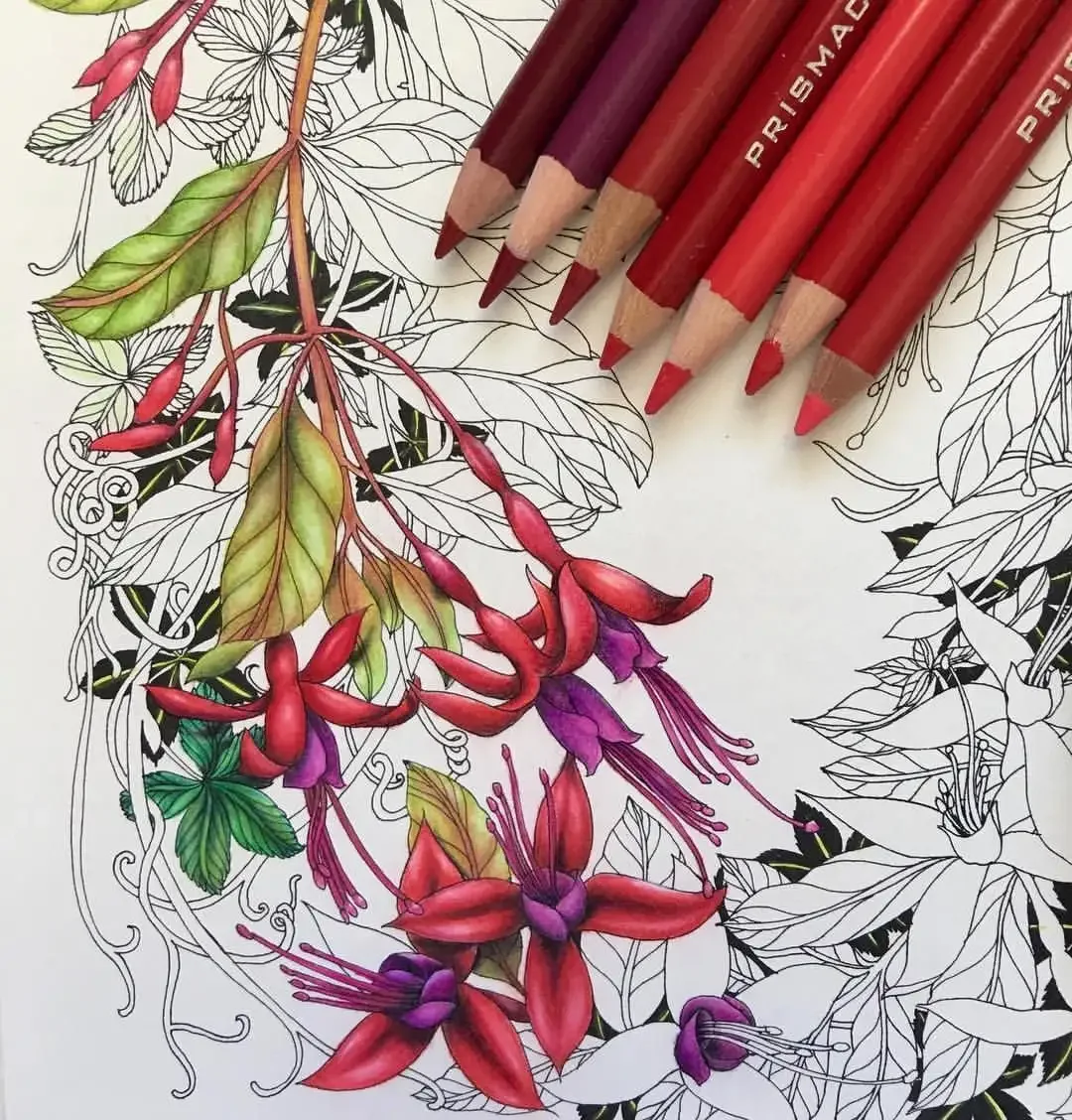 Техника раскрашивания цветными карандашами антистресс