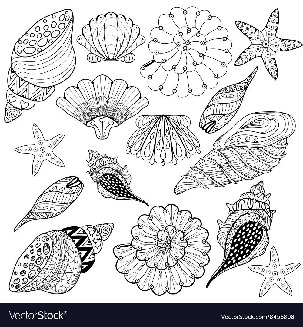 Морская звезда трафарет