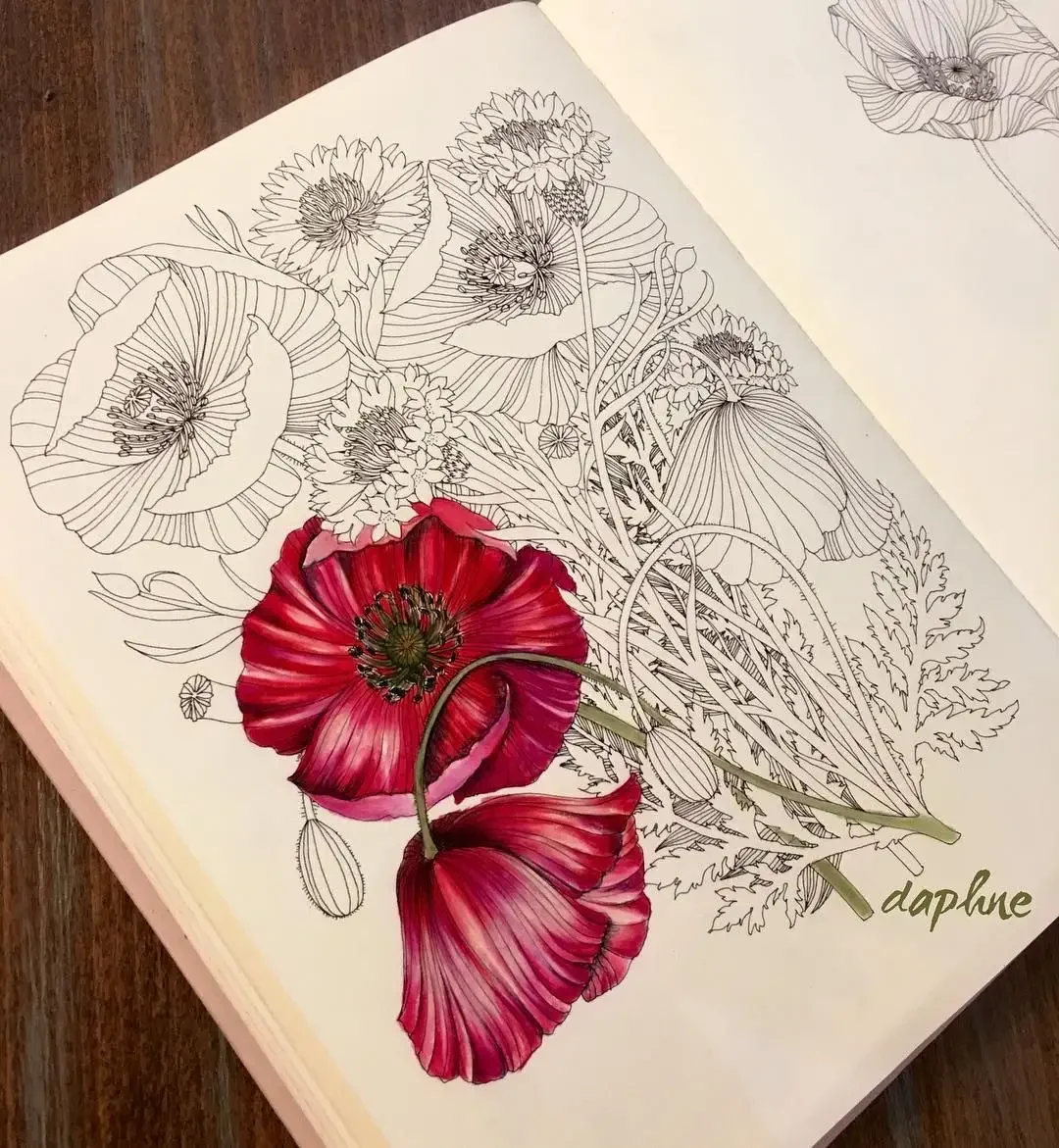 Раскраски Ботанические растения