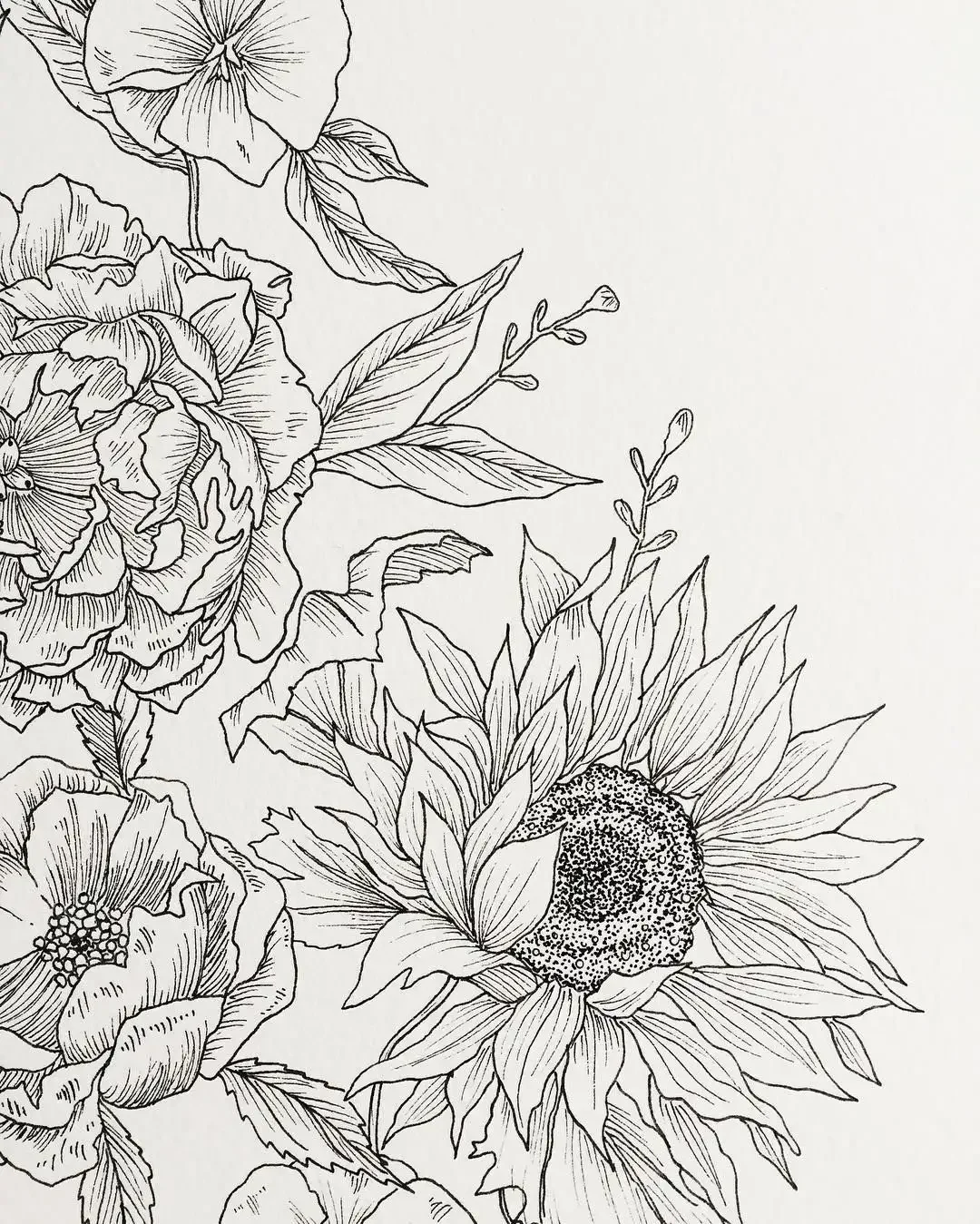 Цветы скетч